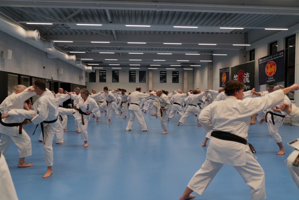 Kasajima Ryu - Karateclub Ieper, Langemark, Beselare - Voordelen Kasajima Ryu - Karateclub Ieper, Langemark, Beselare - foto stage te Ieper