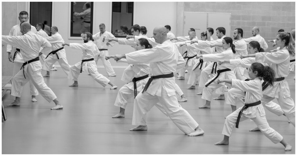 Kasajima Ryu - Karateclub Ieper, Langemark, Beselare - Karatelessen voor alle niveaus